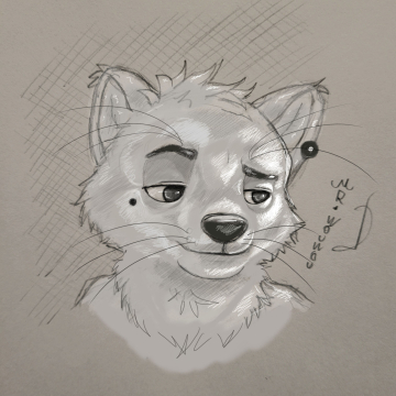 My icone polar fox fursona 