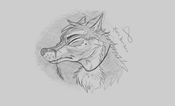 Western Fox