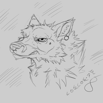Wolf Sketchart