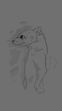  Ferret Sketchart 