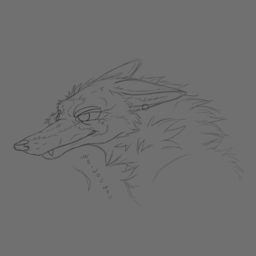 Coyote Sketchart