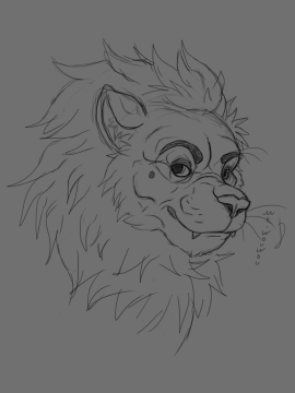 Lion Sketchart