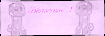Bienvenue dans ma galerie ! 