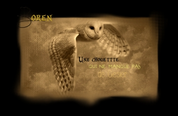 Commande de Soren : Kit. 