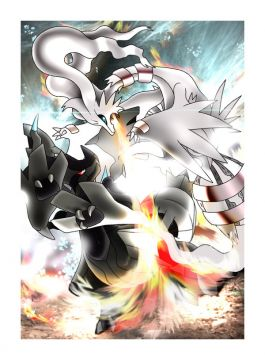 reshiram VS zechrom