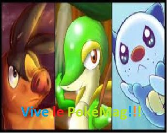 PokéMag:Galerie!!!