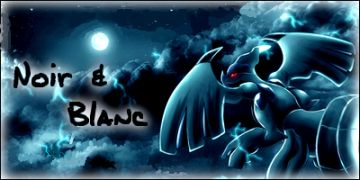 noir&blanc