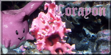 Corayon