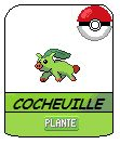 Cocheuille
