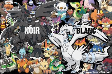 Les NB pokemons