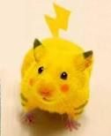 la souris pikachu