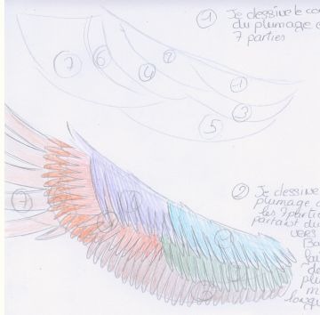 Tutorial Plumage