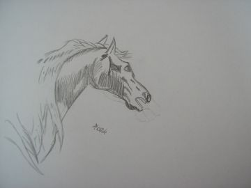 Mon Premier dessin