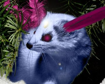vrai farfuret