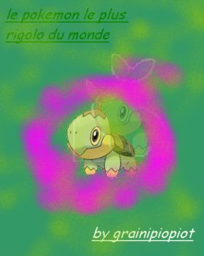 gfx de tortipouss pous pouss
