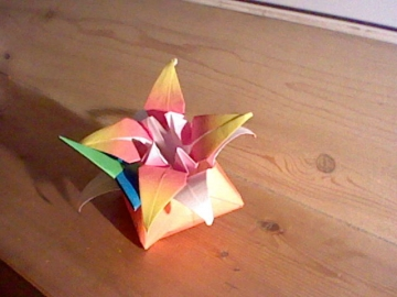 Origami : Shuriken, Boite, et Fleur de Lys