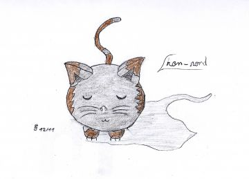 neko !!