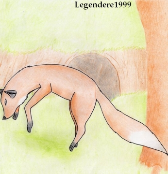 Renard