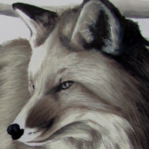 Foxyyy