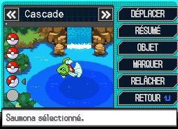 Boîte Fakemon