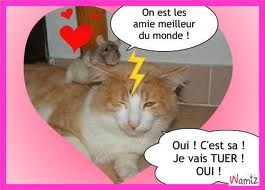 sa c'est pas tyffanie et moi O_o
