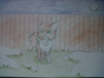 commande (LE COLORIAGE DE LA HAIE ET DU CIEL N'A PAS ETE FAIS PAR MOI !)