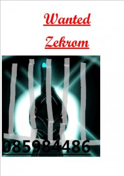 La Disparition De Zekrom