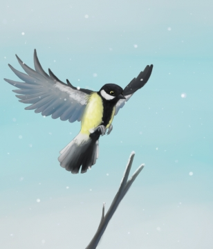 Mésange