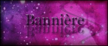 Bannières #1 - #2 - #3 / Suicun - Entei - Raikou