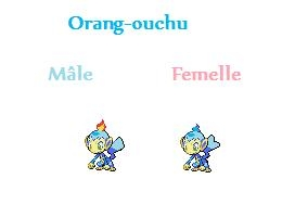 Orang-ouchu