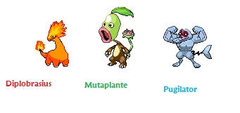 1er evolution des starters