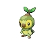 voici Tipouss