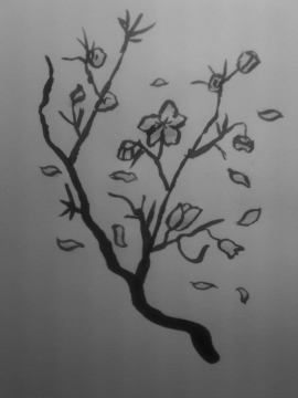 Le cerisier en fleurs!
