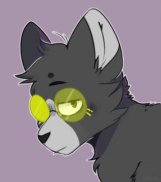 Kin