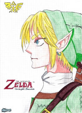 Link de Twilight Princess.