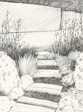 Croquis de jardin et de chat