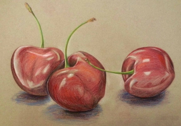 Cerises et chien
