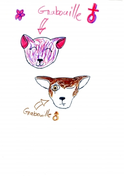 Création pokemon: Grabouille!!!