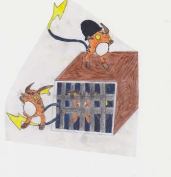 des rackaille