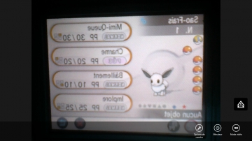 Evoli Shiney <3