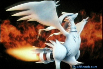 Reshiram, le pokémon blanc  éternel