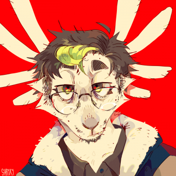j'ai des lunettes olala