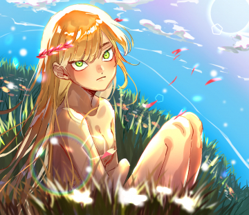 Wind Flower