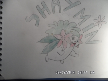 Un petit shaymin ^^
