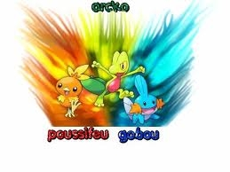 Arcko , Poussifeu ou Gobou ?