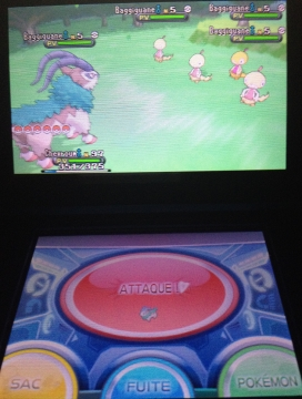 Rencontre de Baggiguane Shiny !