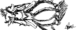 Fragilady (Miiverse)