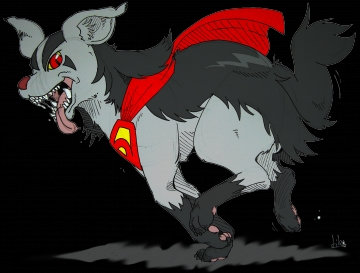 super Doge adulte