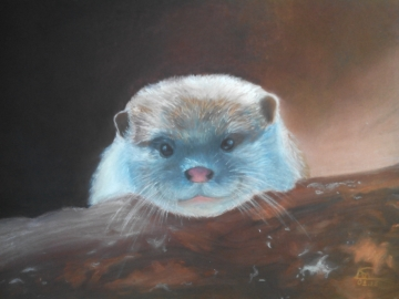 Loutre