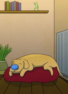Chien dormant sur un pouf